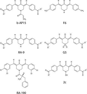 Comprehensive Target Screening and Cellular Profiling of the Cancer-Active Compound b-AP15 Indicate Abrogation of Protein Homeostasis and Organelle Dysfunction as the Primary Mechanism of Action